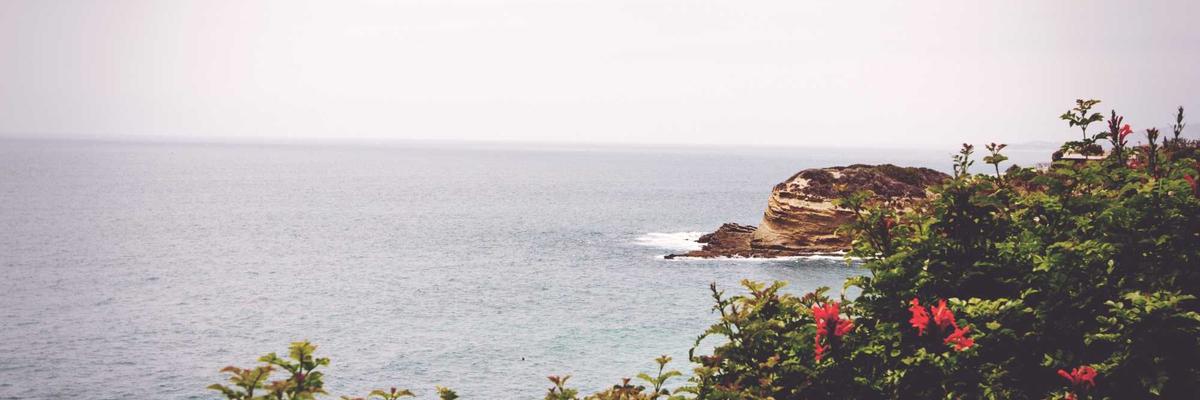 APK Keuring bij elektrische auto's